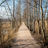 Path in the Laajalahti nature area