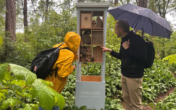 Mehiläispesä Humblebee Aallon kampuksella