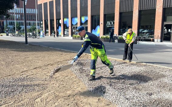 Niittyä perustamassa