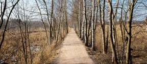 Path in the Laajalahti nature area